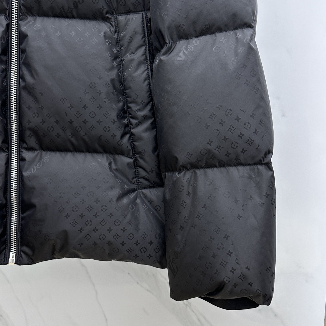 Louis Vuitton Down Jackets